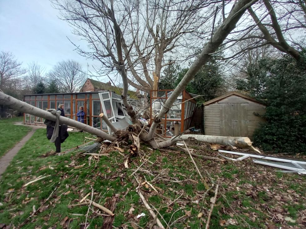 Cat sanctuary raises £12,000 to restore a ‘demolished’ pen after Storm Darragh