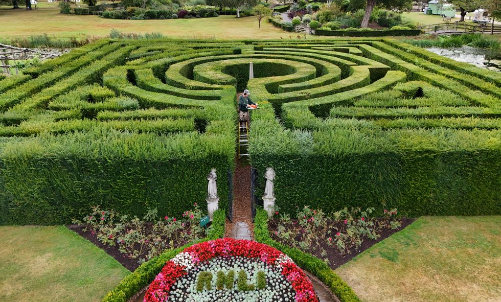 Gardeners at Anne Boleyn’s childhood home chop back 5km of hedging