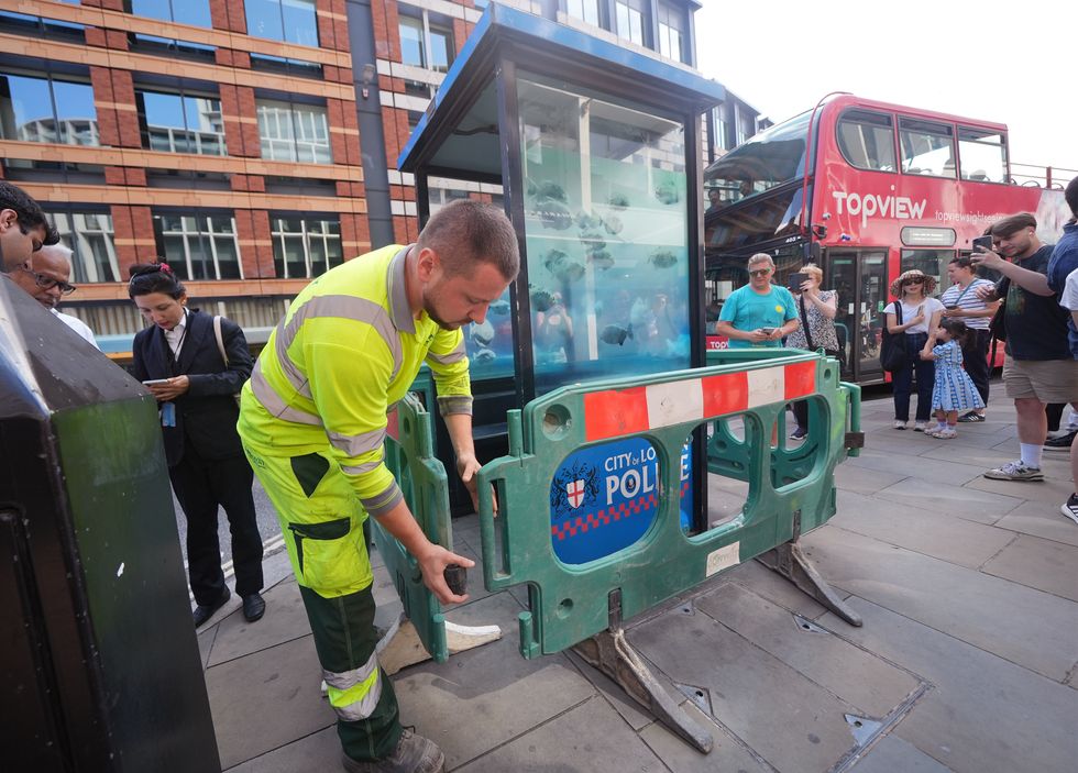 Barriers erected around Banksy’s new piranha artwork on London police box