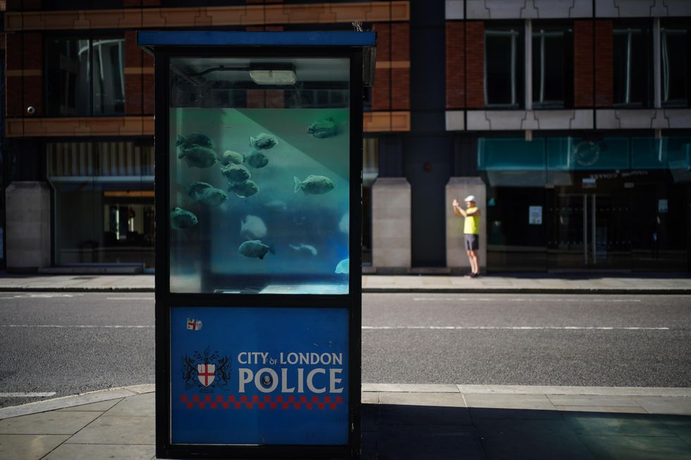 Banksy claims new swimming fish artwork on central London police box