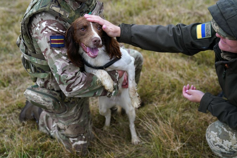 Military dogs save ‘hundreds’ of lives in Ukraine, says handler