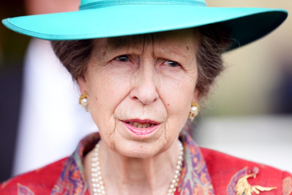 Princess Royal begins first public engagement since horse-related accident