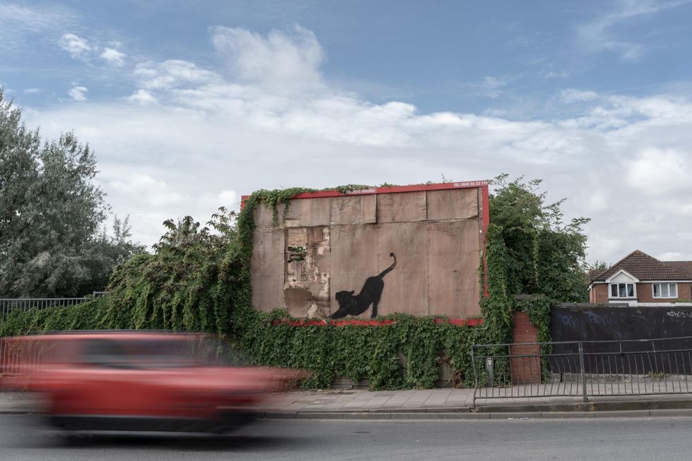 Banksy unveils stretching cat design as animal-themed collection continues