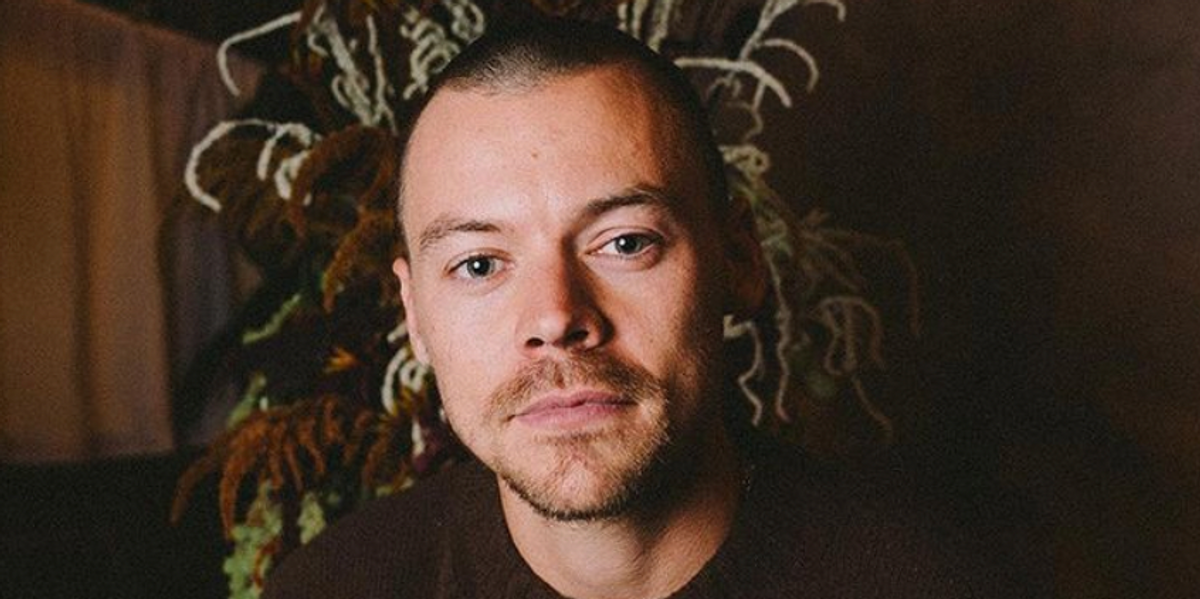 Harry Styles officially debuts his new buzz cut to mixed reaction | indy100