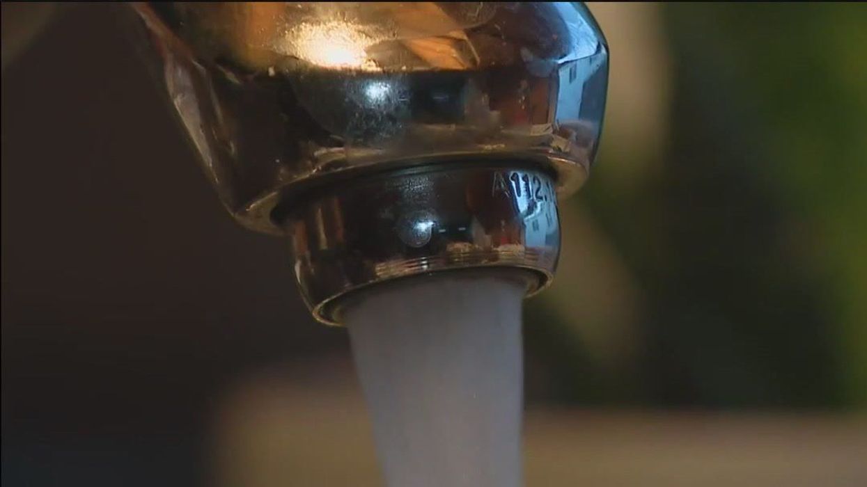 People vow to 'never drink again' after scientists examine tap water under a microscope