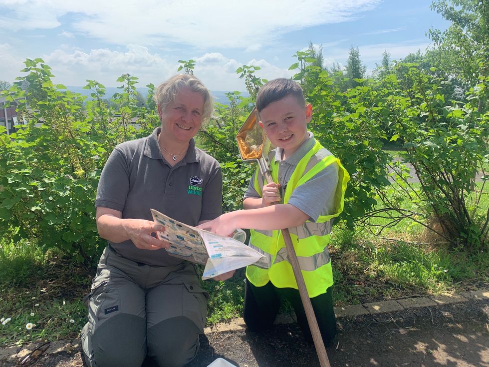 West Belfast boy discovers Northern Ireland’s first recorded water stick insect