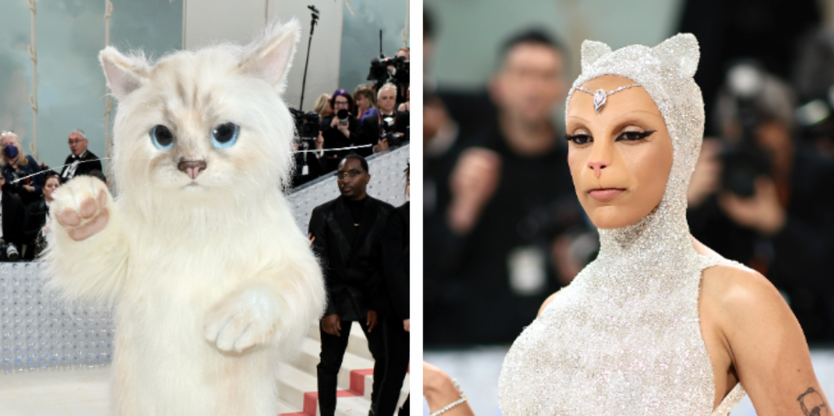 Why were Jared Leto and Doja Cat dressed as cats at the Met Gala? | indy100