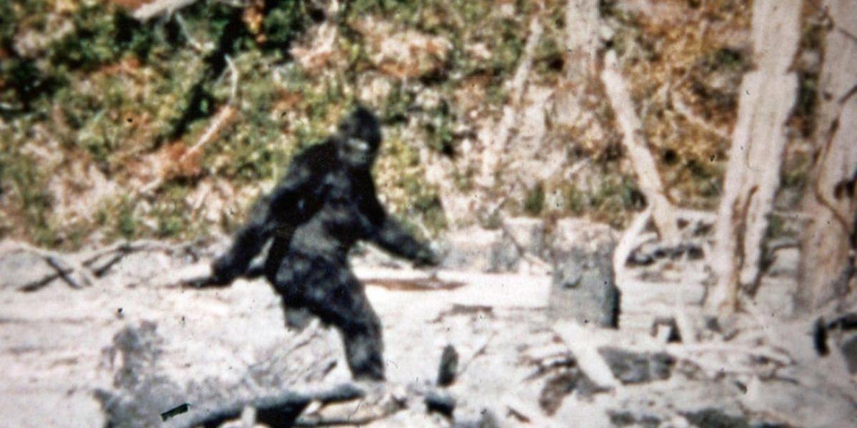 Bloke convinced he's caught mysterious Bigfoot family on camera as kids ...