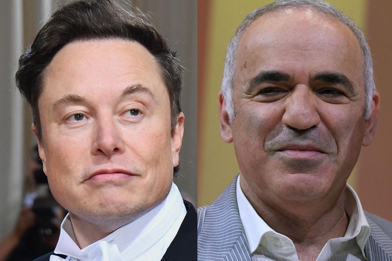 Elon Musk doesn't know who Garry Kasparov is : r/dontyouknowwhoiam