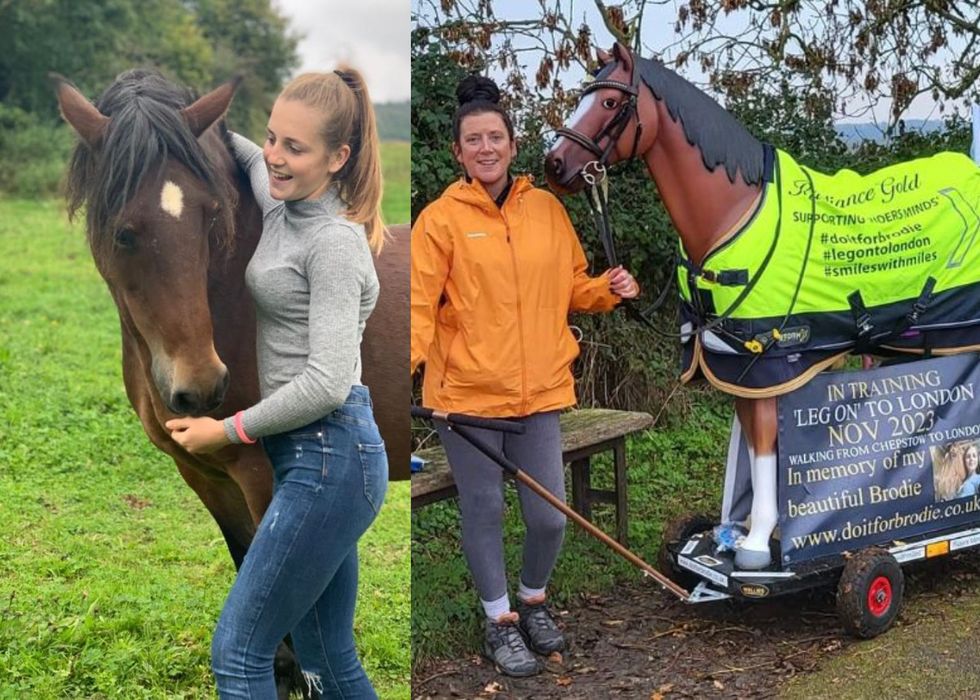 Woman to pull resin horse from Wales to Birmingham in daughter’s memory