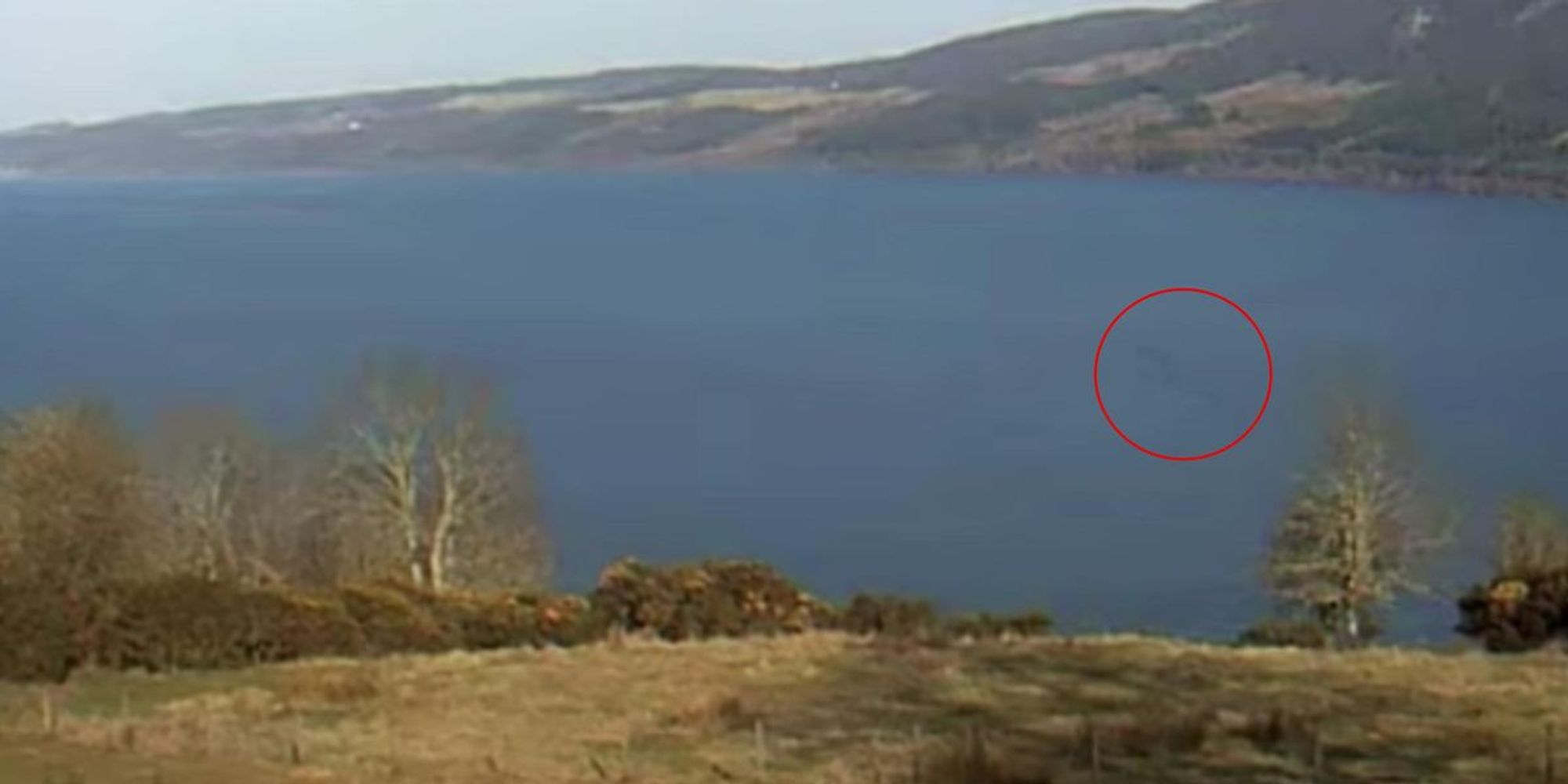 Footage captures first 'Loch Ness Monster' sighting of 2022 indy100