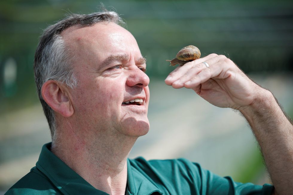 Monaghan farmer plays matchmaker with ‘lonely hearts’ snails