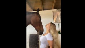 Horse Licking Tits Video - Wholesome moment horse tries to take a treat from owner's mouth | indy100