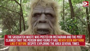 https://www.indy100.com/media-library/hotel-owners-find-bigfoot-poo-near-hotel.jpg?id=31891657&width=300