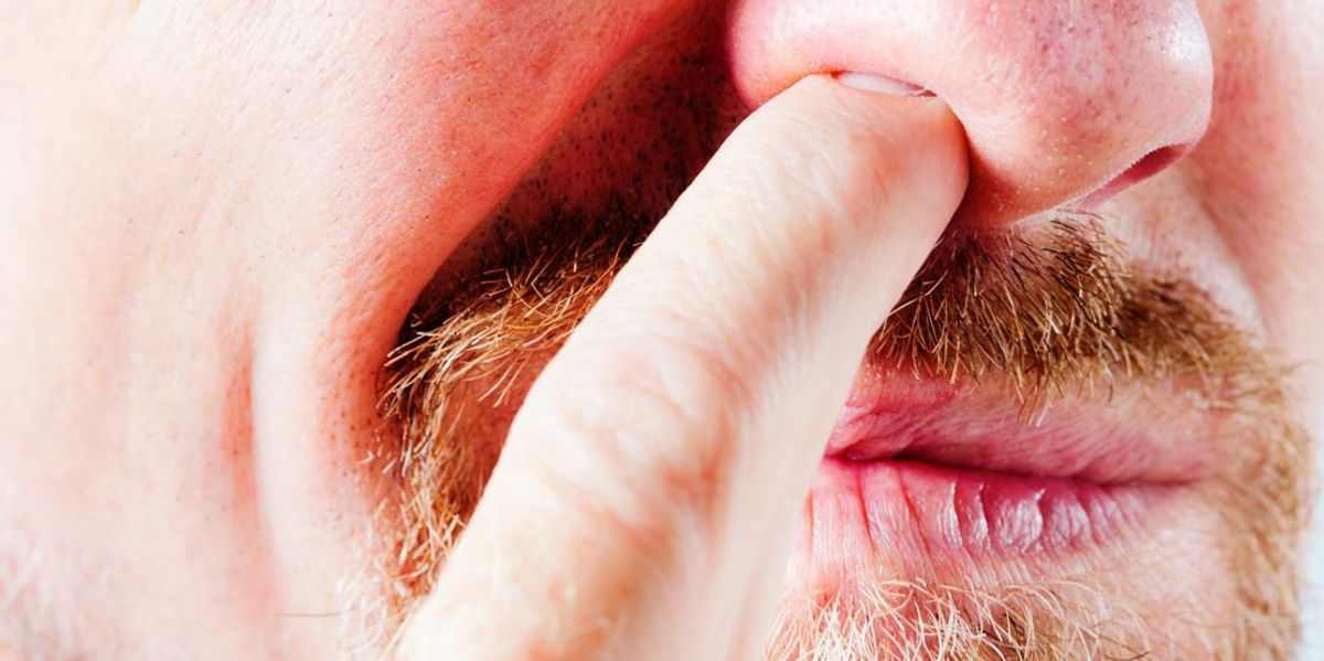 https://www.indy100.com/media-library/how-picking-your-nose-could-increase-risk-of-alzheimer-s-and-dementia.jpg?id=32027951&width=1200&height=600&coordinates=0%2C195%2C0%2C195