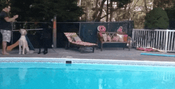 Woman rides tiny bike next to swimming pool - what happens next is ...
