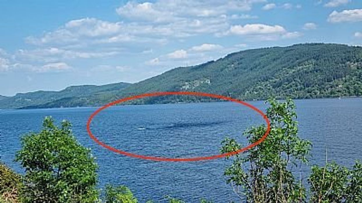 'Loch Ness Monster' photographed as head and two humps emerge from the