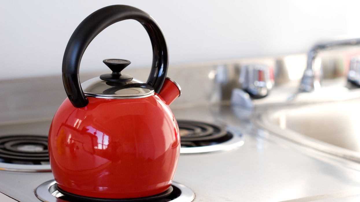 Stove Gas Water Kettle Trips Teapot Teakettle Cooking Kitchen Whistling  Kettles