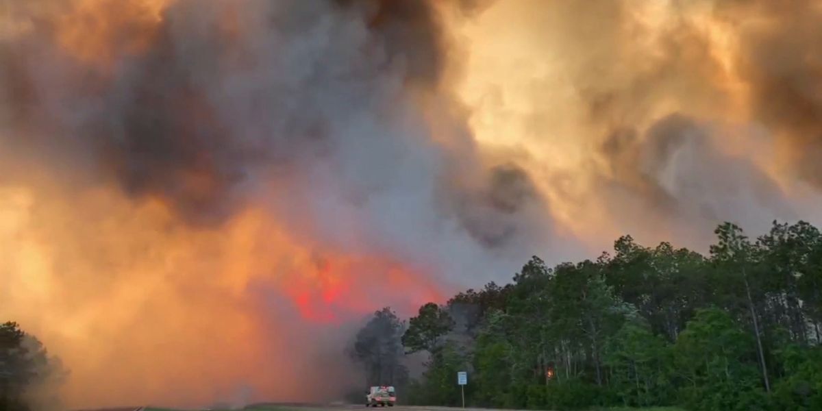 Hundreds evacuated as wildfires rage in NW Florida.mp4 indy picture