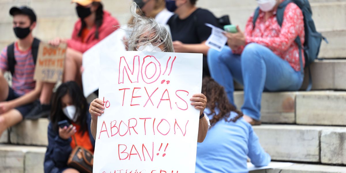 TikTokkers Are Trolling Texas Anti-Abortion Whistleblower Website With Shrek  Porn