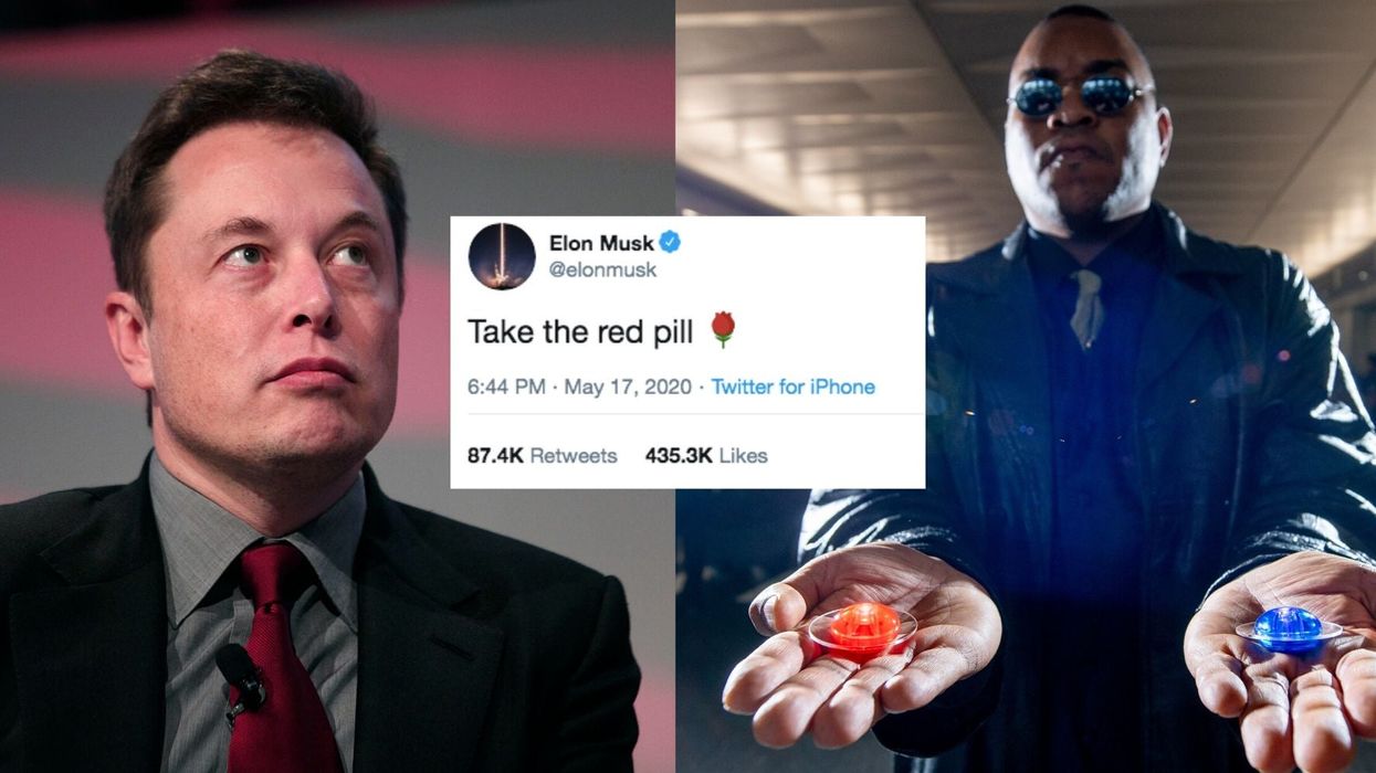 Take the red Why did Elon alt-right | indy100 | indy100