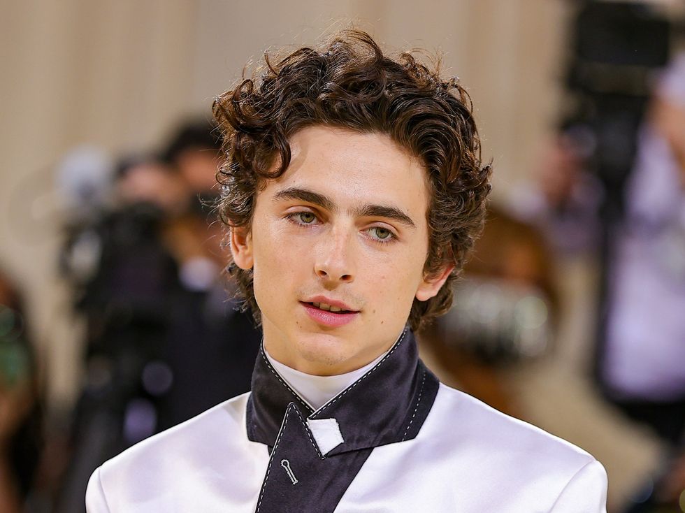 Timothée Chalamet's Favorite Video Game Is A Throwback