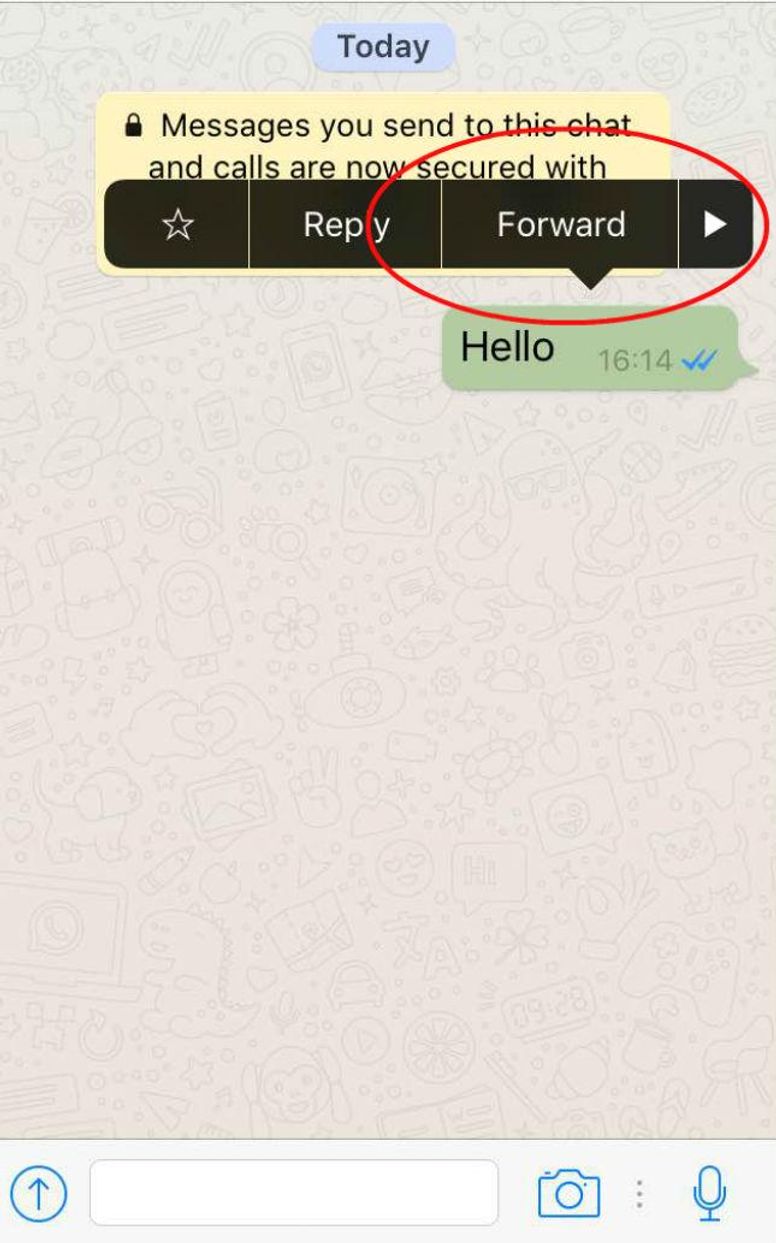 I can see a profile pic in WhatsApp but not last seen. Have I been blocked?  - Quora