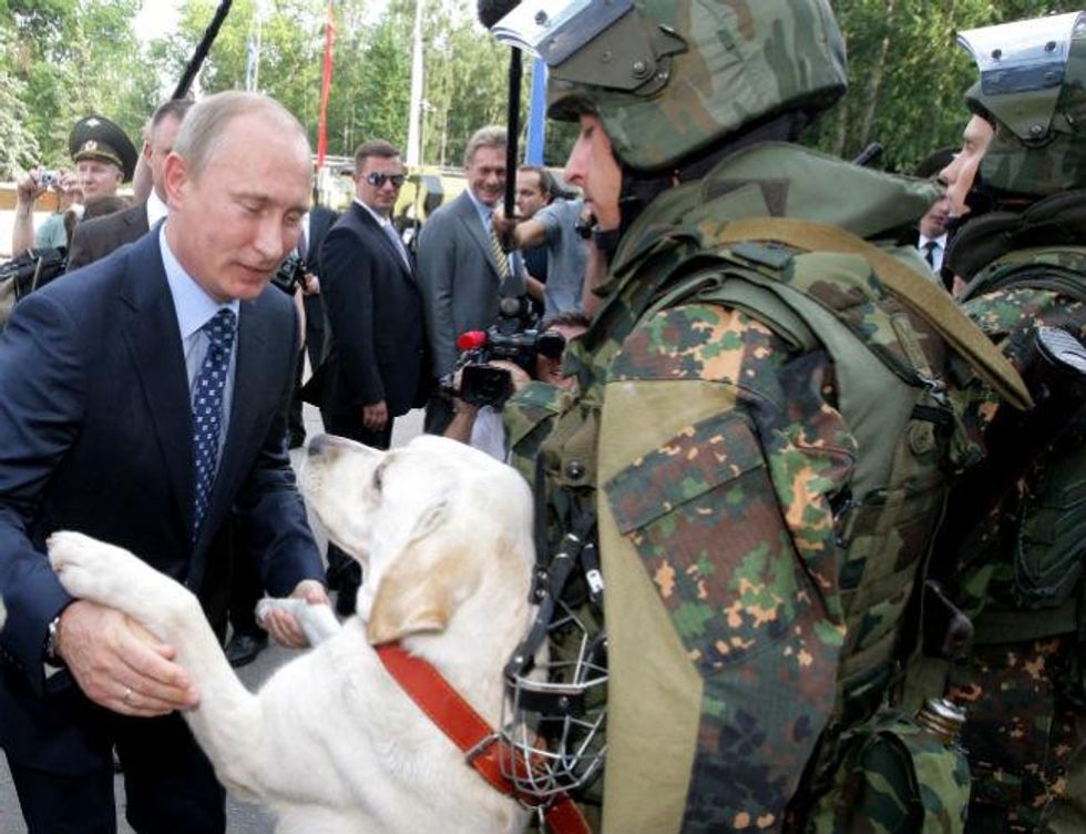 Strangely engrossing photos of Vladimir Putin & animals: A brief ...