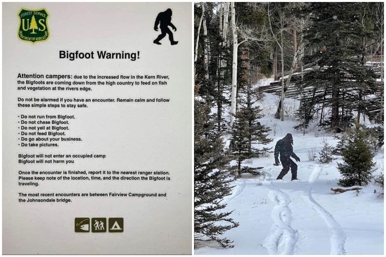 %name Curiosa advertencia Bigfoot emitida por la Oficina del Sheriff del condado de Taos