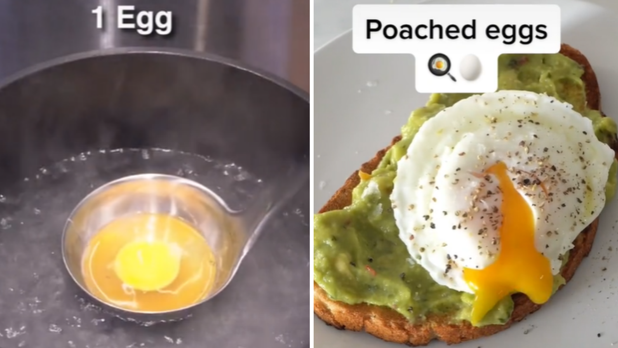 How to glich eggs on shell shockers｜TikTok Search