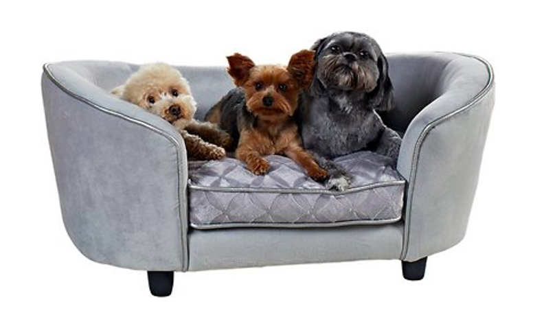 Enchanted home pet outlet library sofa dog bed