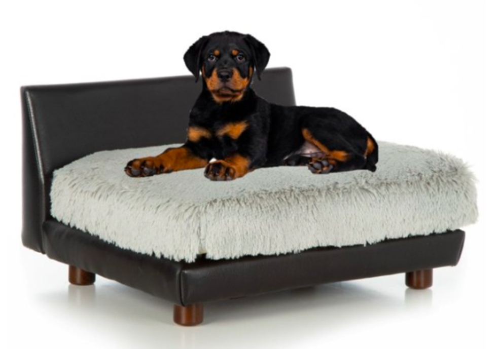 What Is The Best Dog Bed For A Rottweiler