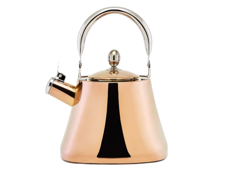 Electric Tea Kettle Hot Water Kettle for Tea and Coffee, Kaushalam