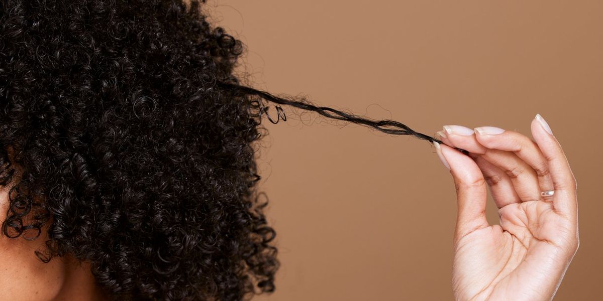 Curly Hair May Have Been Key to Human Brains Growing So Big