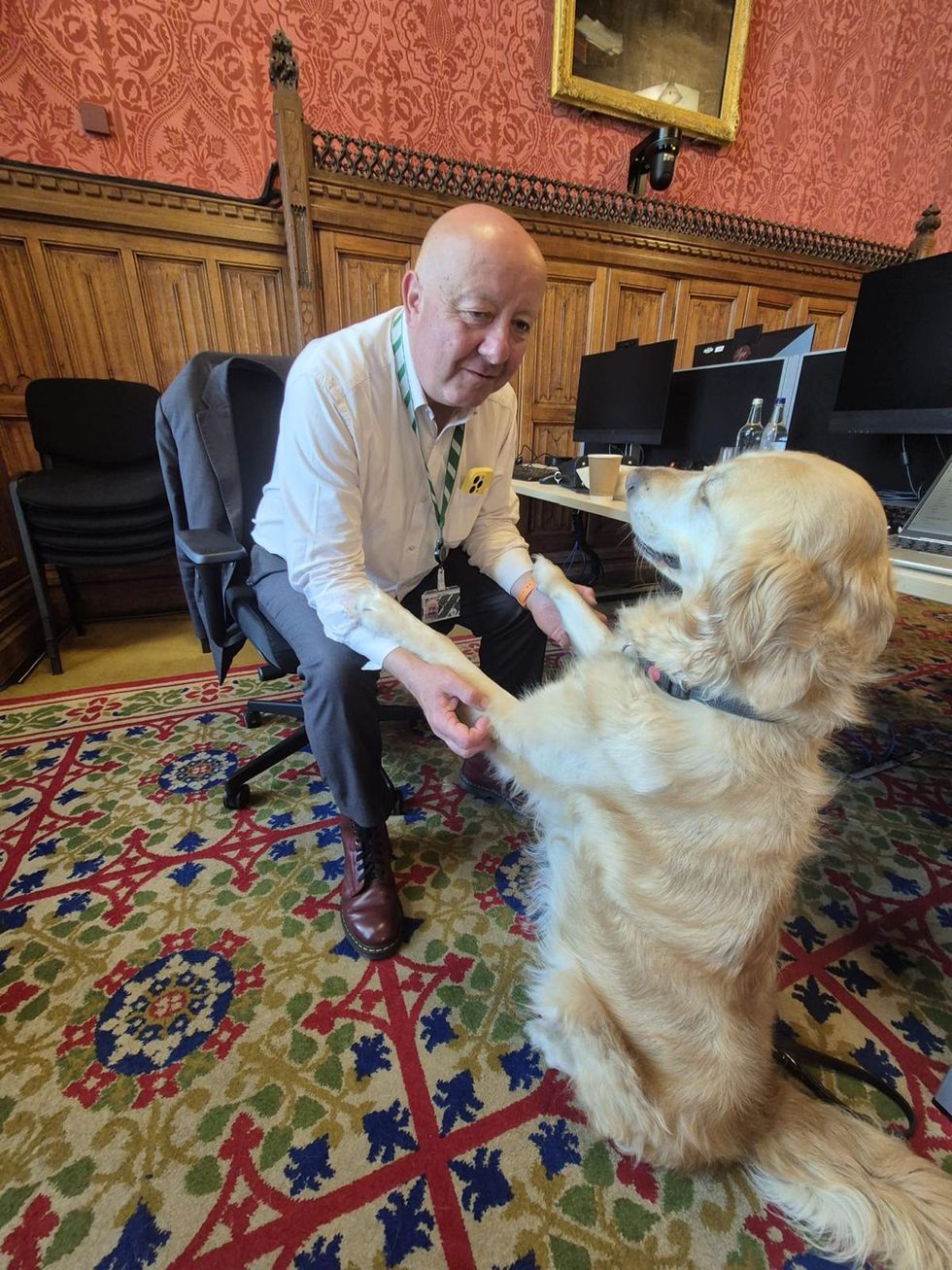 Jennie the guide dog plans on becoming ‘leader of the o-paw-sition’, her MP says