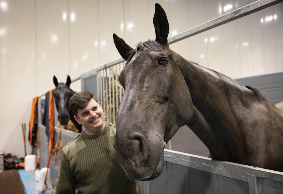 Horse that led Queen’s coffin to lie in state given ‘animals’ OBE’