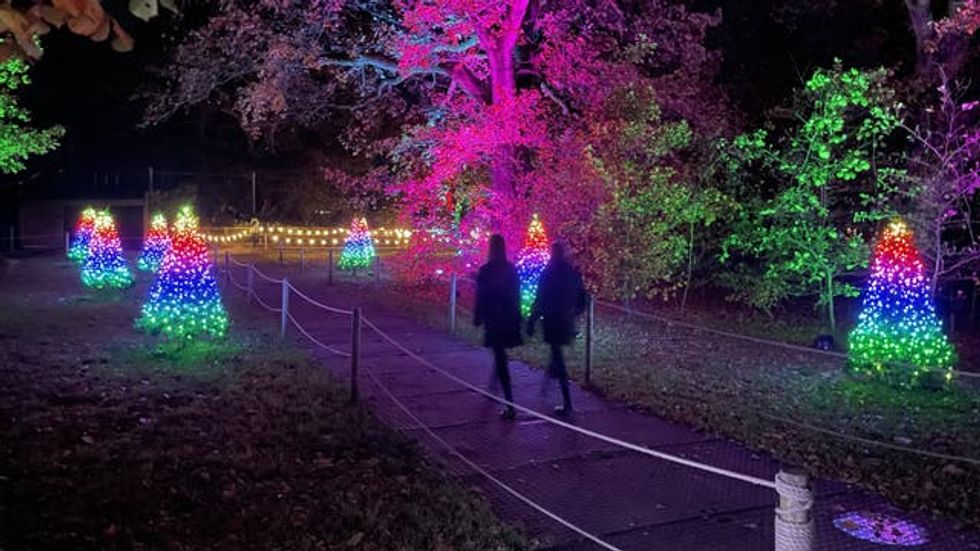 Zoo Unveils Winter Lights Display With Glowing See-saws And 500,000 