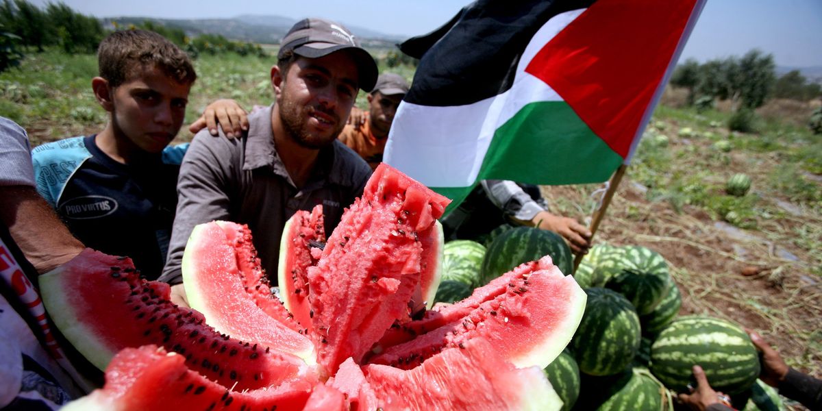Palestinian Farmers In The Northern Gaza Strip In 2021 ?id=50420812&width=1200&height=600&coordinates=0%2C53%2C0%2C447