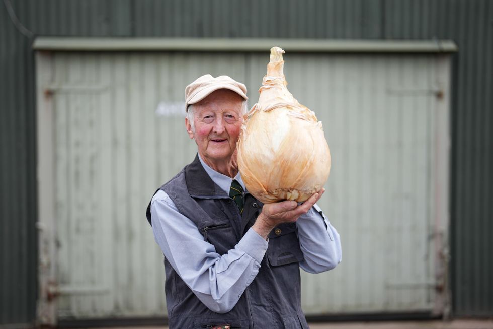 Pumpkins, onions and parsnips on display at giant vegetables competition