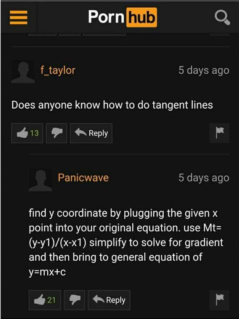 Someone asked Pornhub commenters for maths help – and they actually came  through | indy100 | indy100