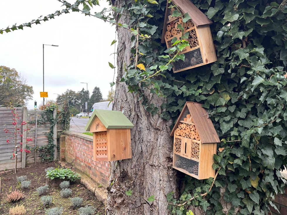 £5m scheme boosts nature for hundreds of communities across UK, report shows