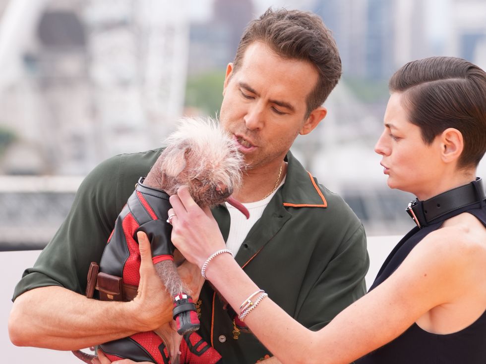 Ryan Reynolds pictured holding Dogpool at Deadpool and Wolverine photo call