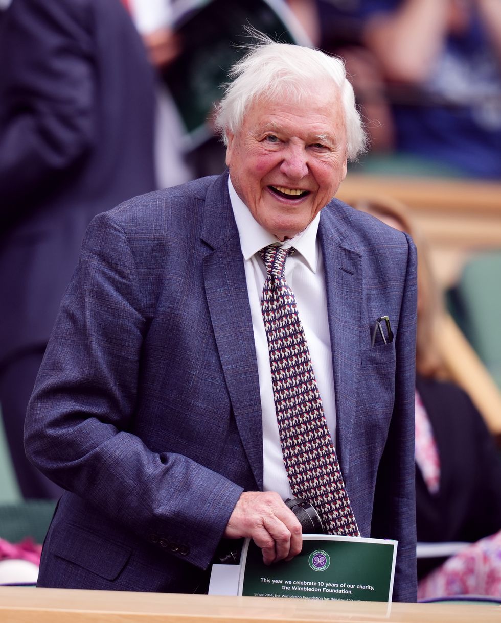 Sir David Attenborough and David Beckham among stars at Wimbledon