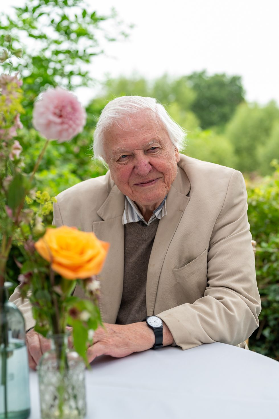 Sir David Attenborough honoured for supporting wildlife charities over 60 years