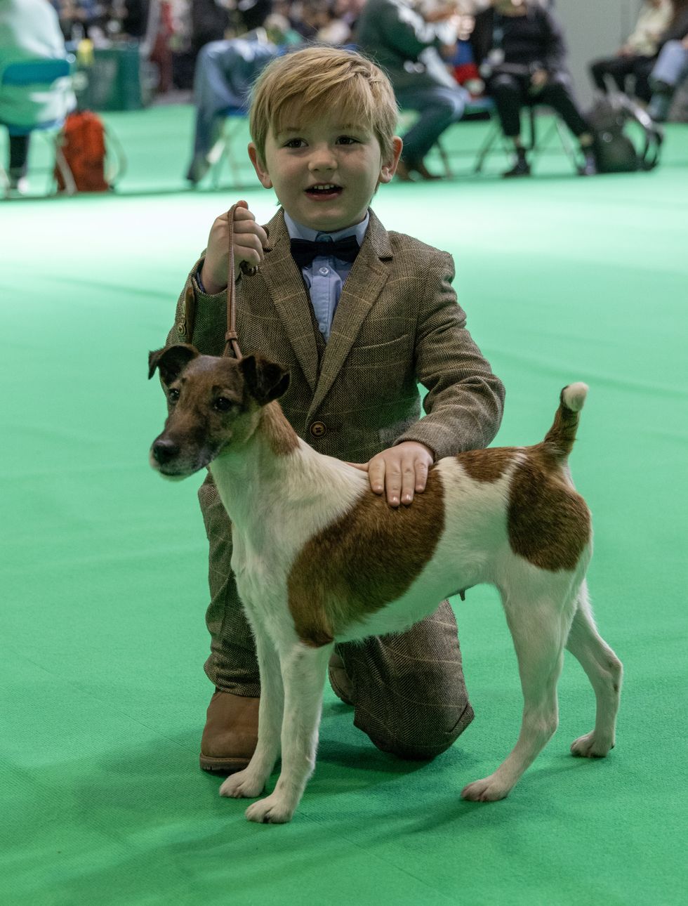 Six-year-old boy makes history as one of Crufts’ youngest ever winners