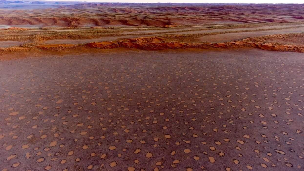 Visiting the Mysterious Fairy Circles of the Namib Desert - The