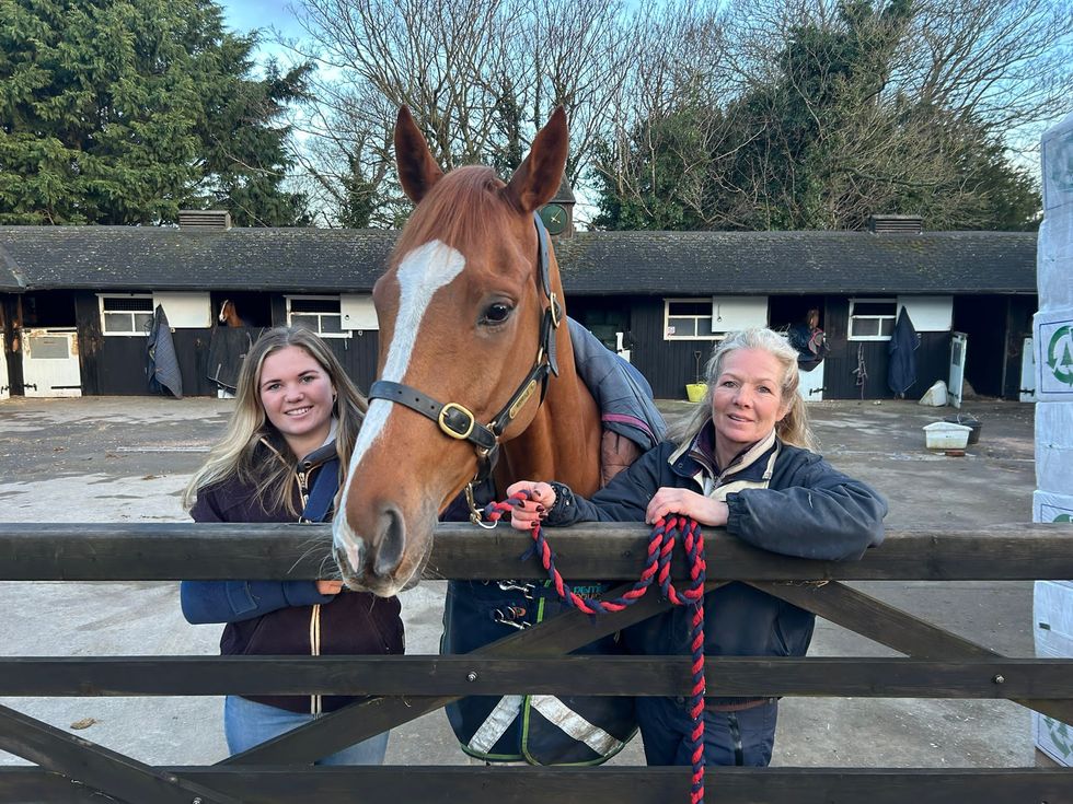 Racehorse given royal approval enjoys socialising with owners down the pub