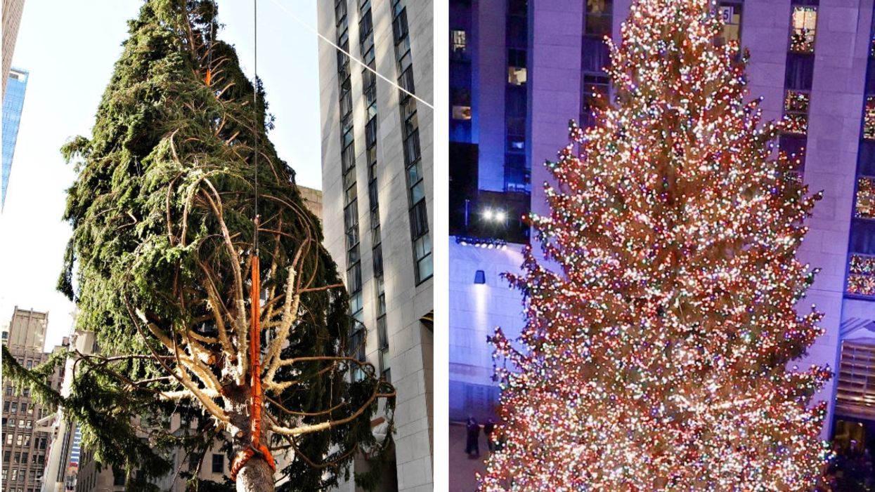 New York, USA,16 Dec 2020. A very tall Christmas tree decoration