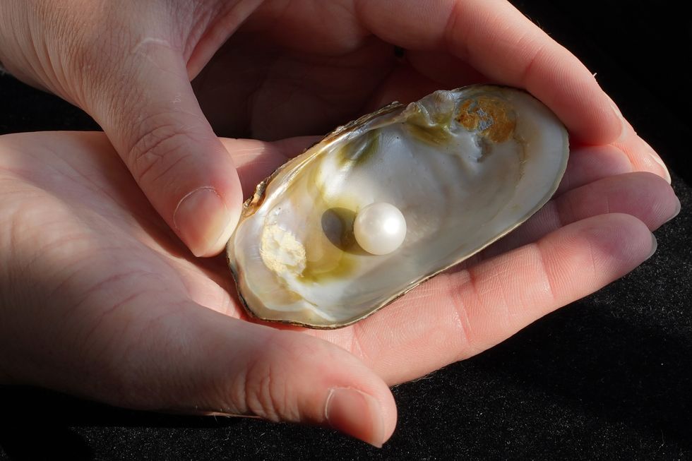 Famous freshwater pearl to stay in Scotland after selling for more than £93,000