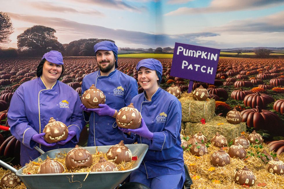 Cadbury World chocolatiers create edible pumpkin patch for Halloween